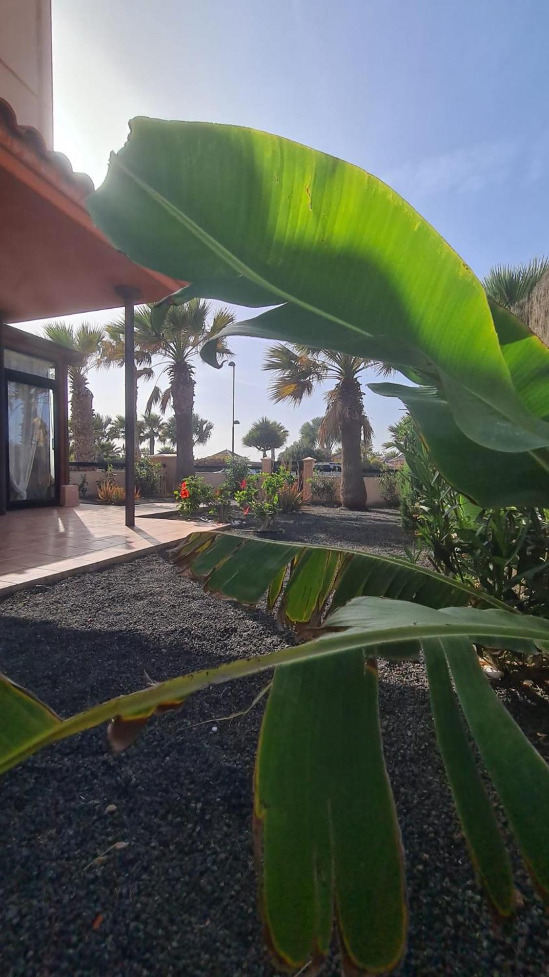 Green Ocean House - Origo Mare Lajares Esterno foto